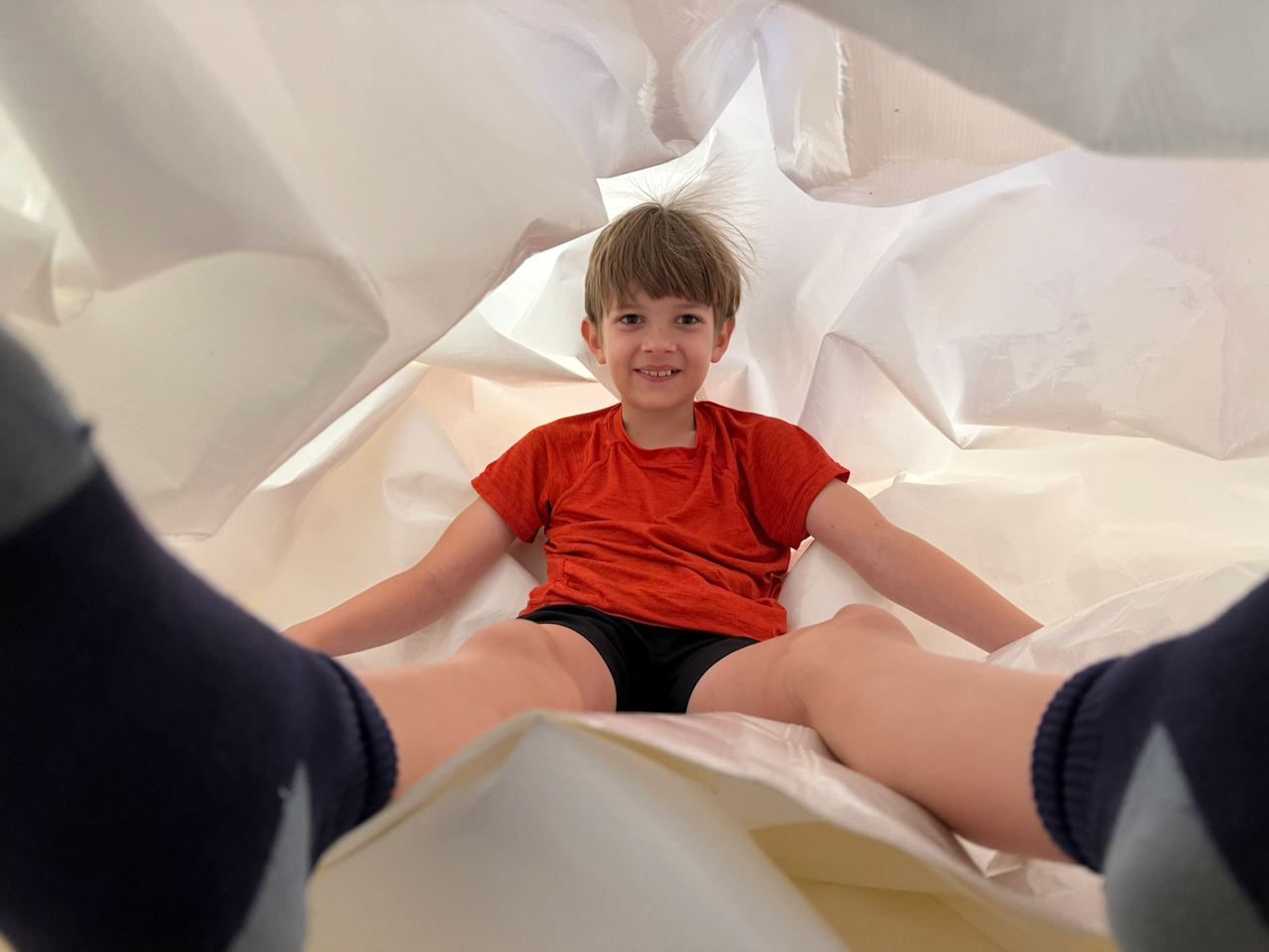 Otto with novashield fort 2024